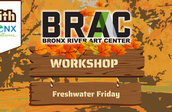 Freshwater Friday